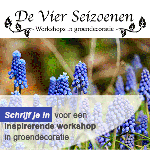 de-vier-seizoenen