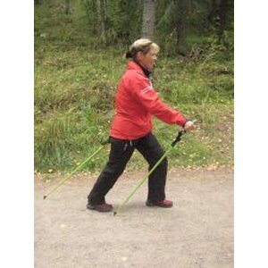 Nordic Walking Pro logo