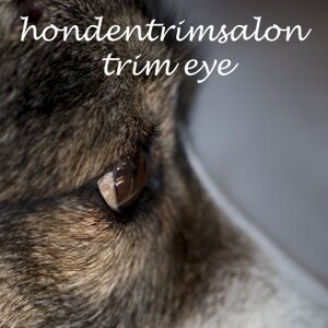 Hondentrimsalon Trim Eye logo