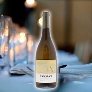 Sandor Wine Import image 1