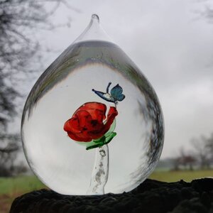 Anno Nu Uitvaartverzorging image 1