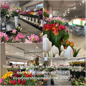 Intermediair Groep Holland B.V. image 1