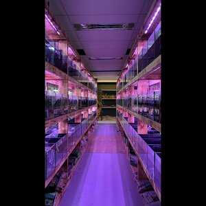 Aquariumworldonline image 3