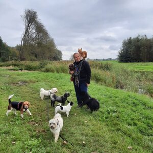 Cilla’s Hondenuitlaatservice image 1