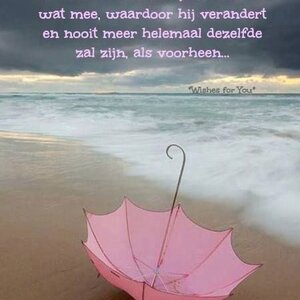 De Lantaarn Coaching image 2