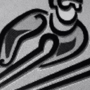 SD Skiverhuur image 1