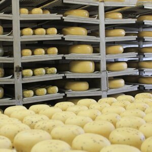 Kaasmakerij Utopia image 4