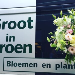 Groot in Groen image 8