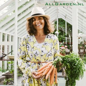 van Dalfsen Dienstverlening image 1