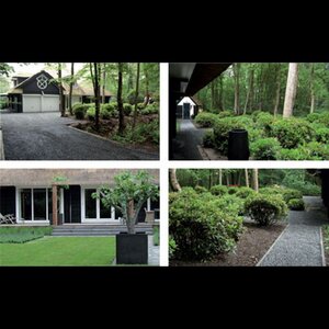 Maarten Woud Hovenier image 3