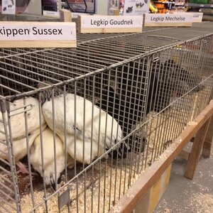 Agricentrum Van der Kroon B.V. image 4