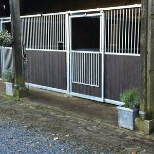 Pensionstal-Stoeterij Sprenkeling image 3