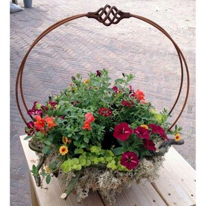 De Vier Seizoenen image 1