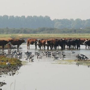 Zorgboerderij Dijkgatshoeve image 1