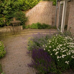 Ontwerpburo en Hoveniersbedrijf Yvonne Kruize-Box &amp; Zn V.O.F. image 2