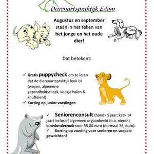 Dierenartspraktijk Edam image 2