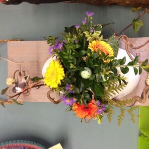 Groenvelds Hobbyboet image 8