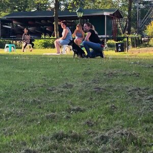 Pim Hondenopvoeding image 2