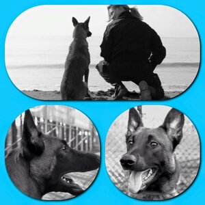 PCR Security image 8