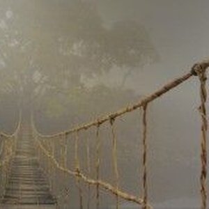 Mikpunt Counseling en Coaching image 4