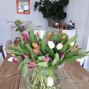 Het Huis van Aandacht image 4