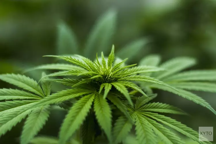 Burgemeester sluit drugswoning in Hoorn voor drie maanden