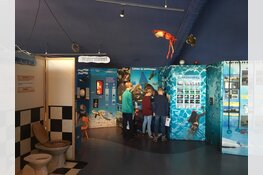 Doorzie Doorzichtig Waterdicht nog maar een paar weken te zien!