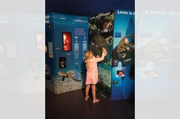 Doorzie Doorzichtig Waterdicht nog maar een paar weken te zien!