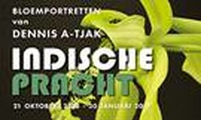 Bloemportretten van Dennis A-Tjak in Westfries Museum