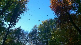 Hoe meet je de wind?