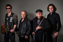 Manifesto  - 15 en 16 februari