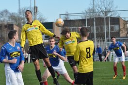 Hoornse ploegen doen goede zaken