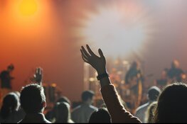 Het weekend van 8,9 en 10 maart bij Manifesto Hoorn