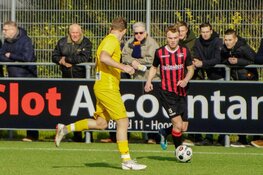 Net niet voor Zwaluwen’30