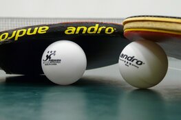 Ruime overwinningen voor Disnierats