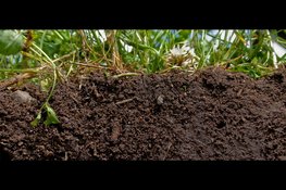 Archeologen gezocht!