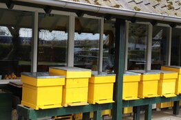 Imkerijdagen in Hoorn!