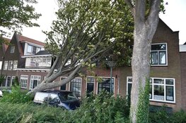 Boom valt op auto en huis