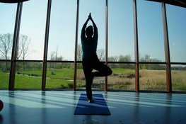 Groei voor Bamboeyoga in de Molshoop