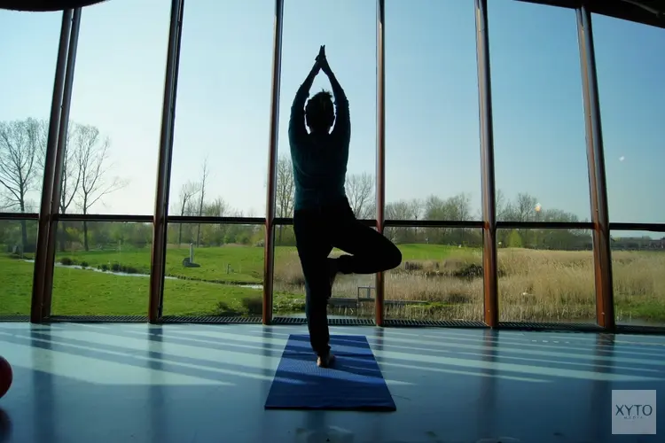 Groei voor Bamboeyoga in de Molshoop