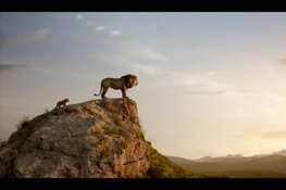 Speciale “prikkelvrije” voorstelling van The Lion King bij Vue Hoorn