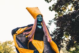 Programma voor het culturele weekend