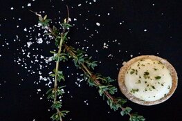 Thijs Thuis in Eten voor elk onvergetelijk feest!