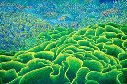 Expositie Dijklander Ziekenhuis Hoorn