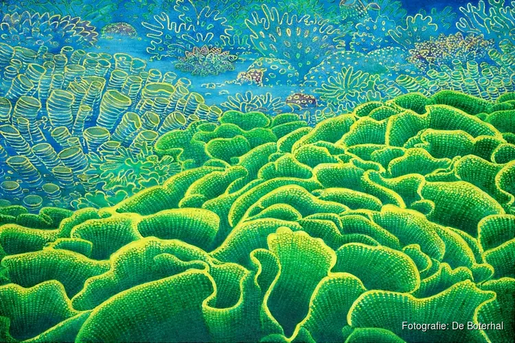 Expositie Dijklander Ziekenhuis Hoorn