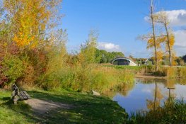 Excursie Vleermuizen