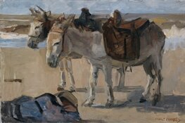 ‘Koele Kinder Tour’ tijdens Koele Wateren