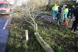 Omgekomen automobilist is een 39-jarige man uit Hoorn