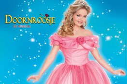 Doornroosje de musical in Schouwburg & Congrescentrum Het Park