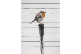 Tentoonstelling in De Boterhal: Hoornse Nieuwe